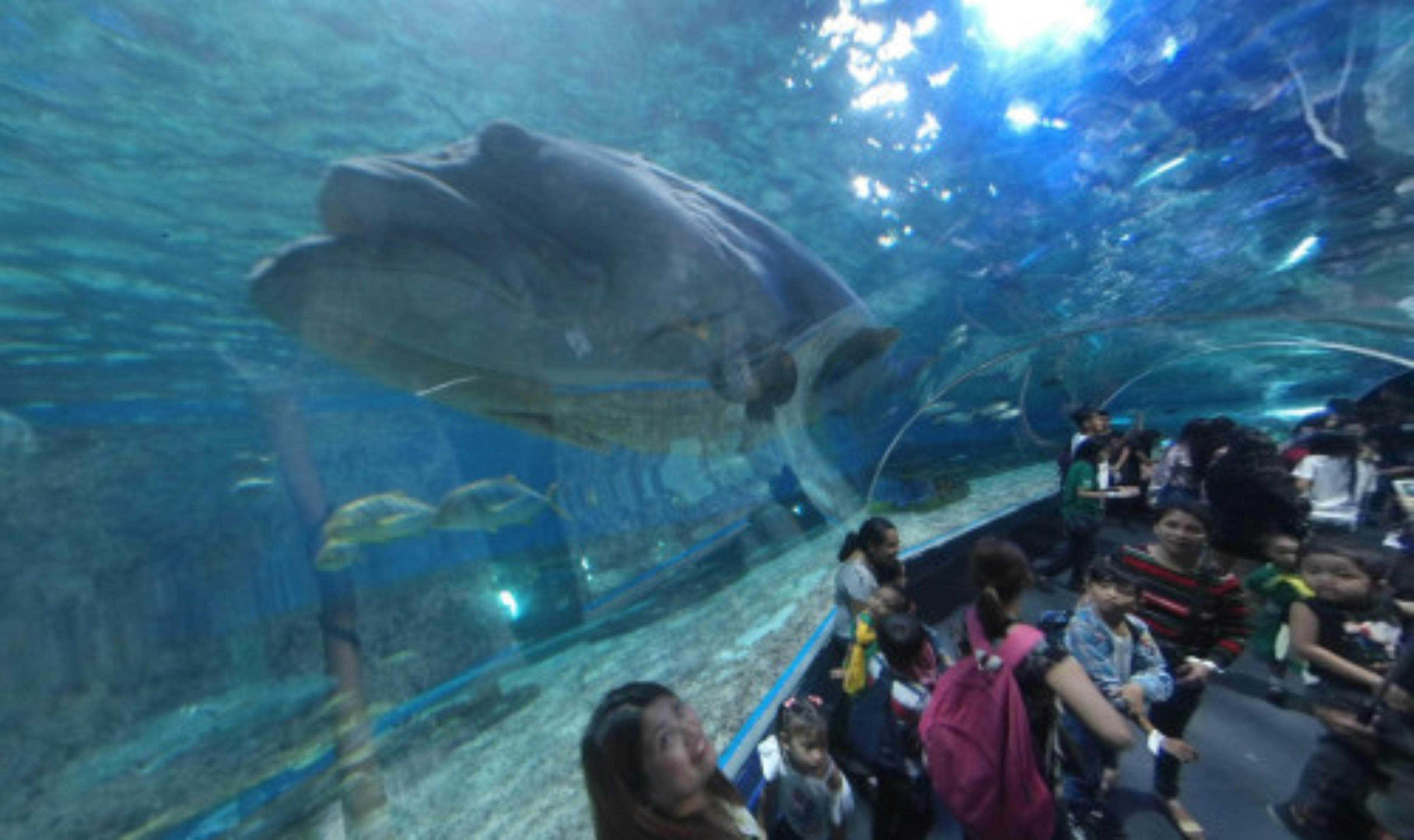 Manila Ocean Park, Manila, Philippines virtual tour preview