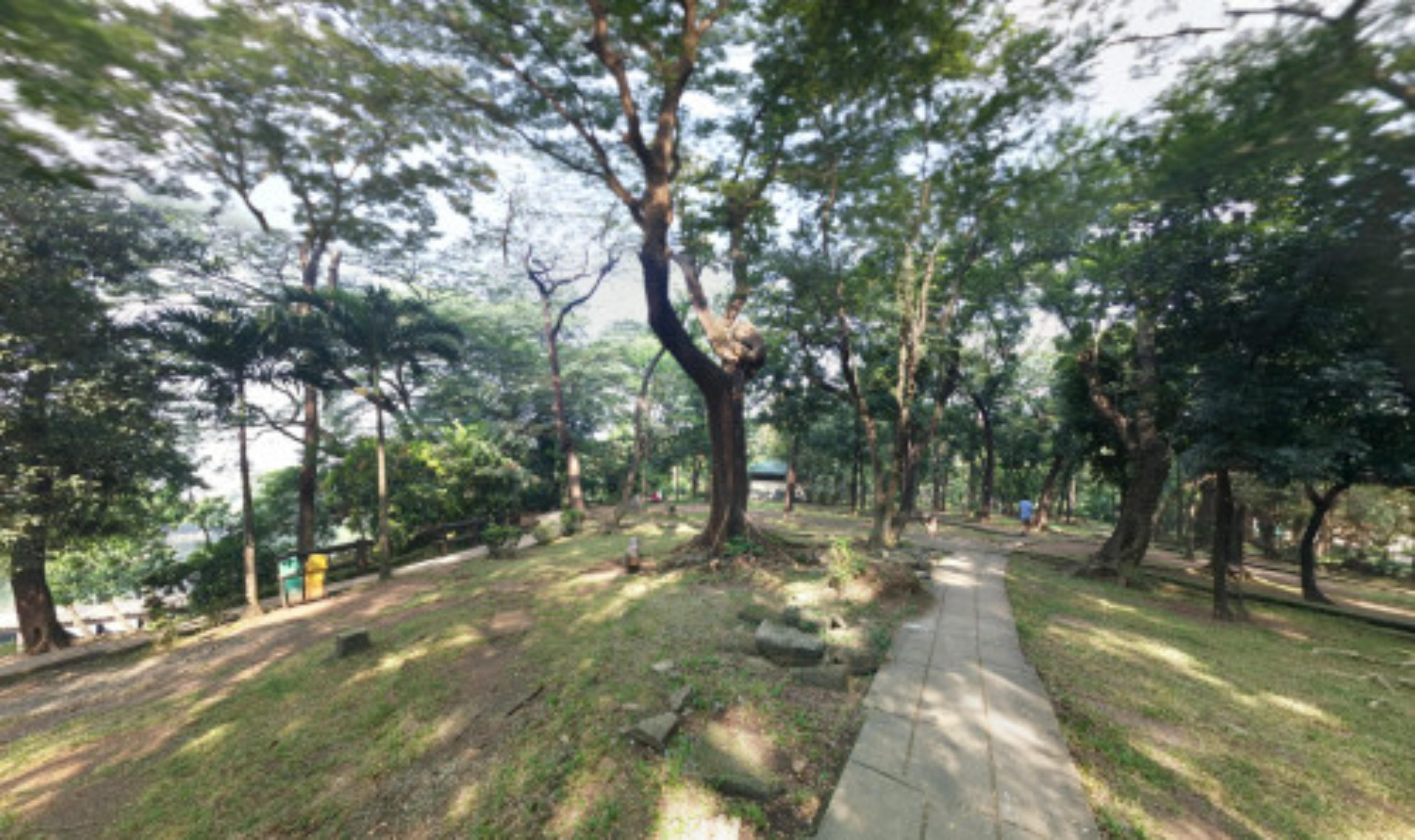Ninoy Aquino Parks and Wildlife Center, Manila, Philippines virtual tour preview