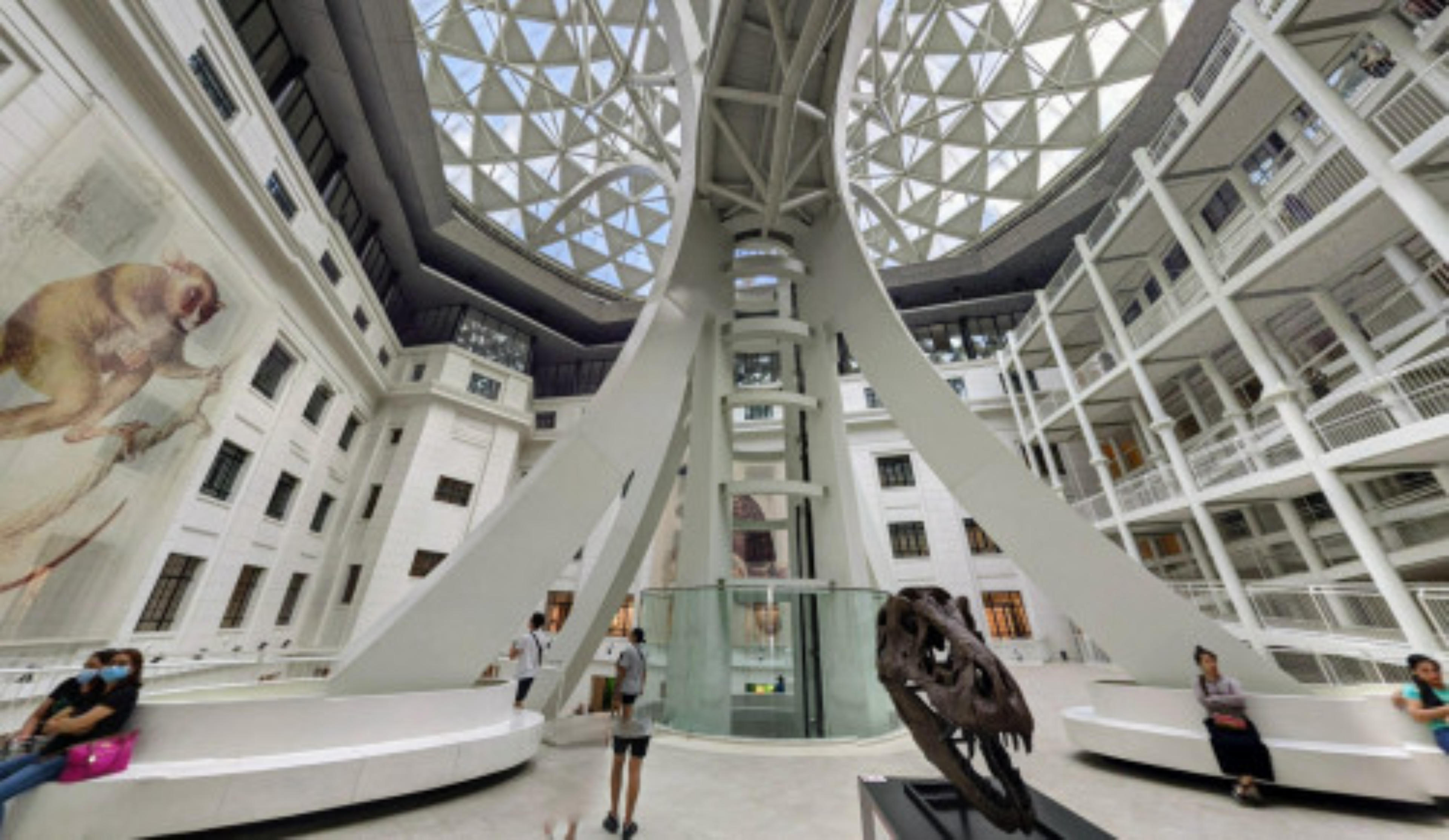 National Museum of Natural History virtual tour preview